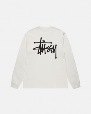 T Shirts Stussy Basic Stussy LS Tee Pigment Dyed Masculino Bege Portugal | SVA-4010