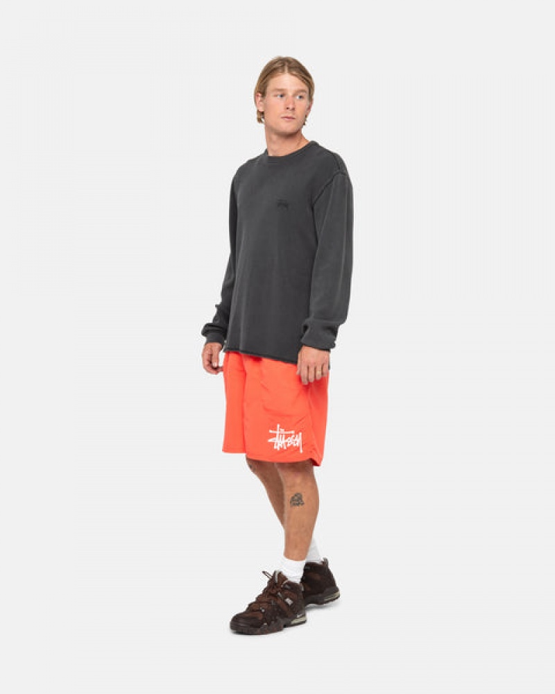 Calção Stussy Agua Curta Big Basic Feminino Coral Portugal | PJX-1719