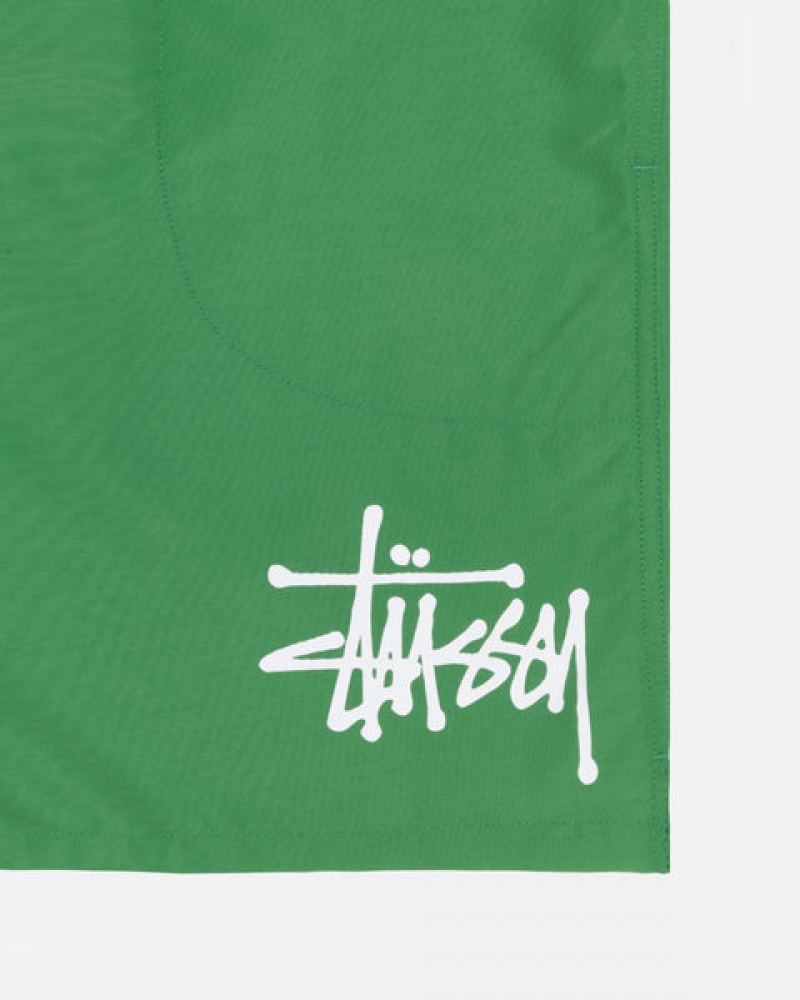 Calção Stussy Agua Curta Big Basic Masculino Verdes Portugal | VWA-7296