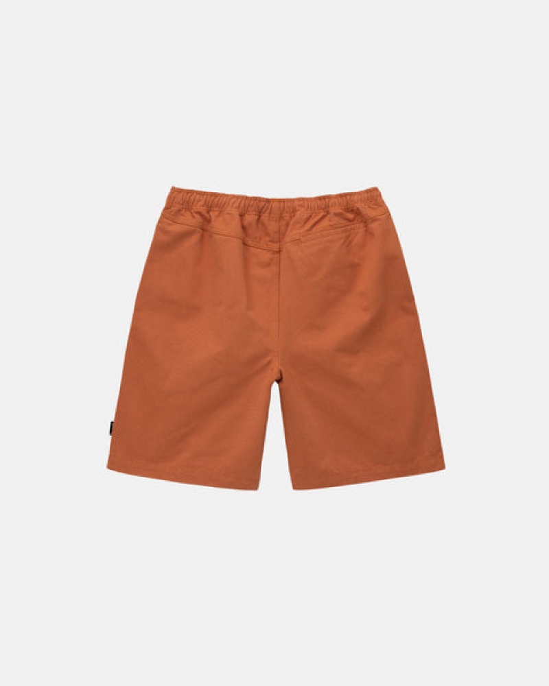 Calção Stussy Brushed Beach Curta Masculino Marrom Portugal | DZY-9467