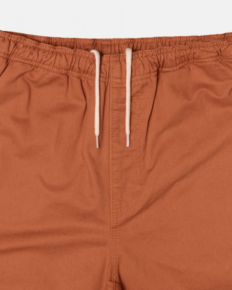 Calção Stussy Brushed Beach Curta Masculino Marrom Portugal | DZY-9467