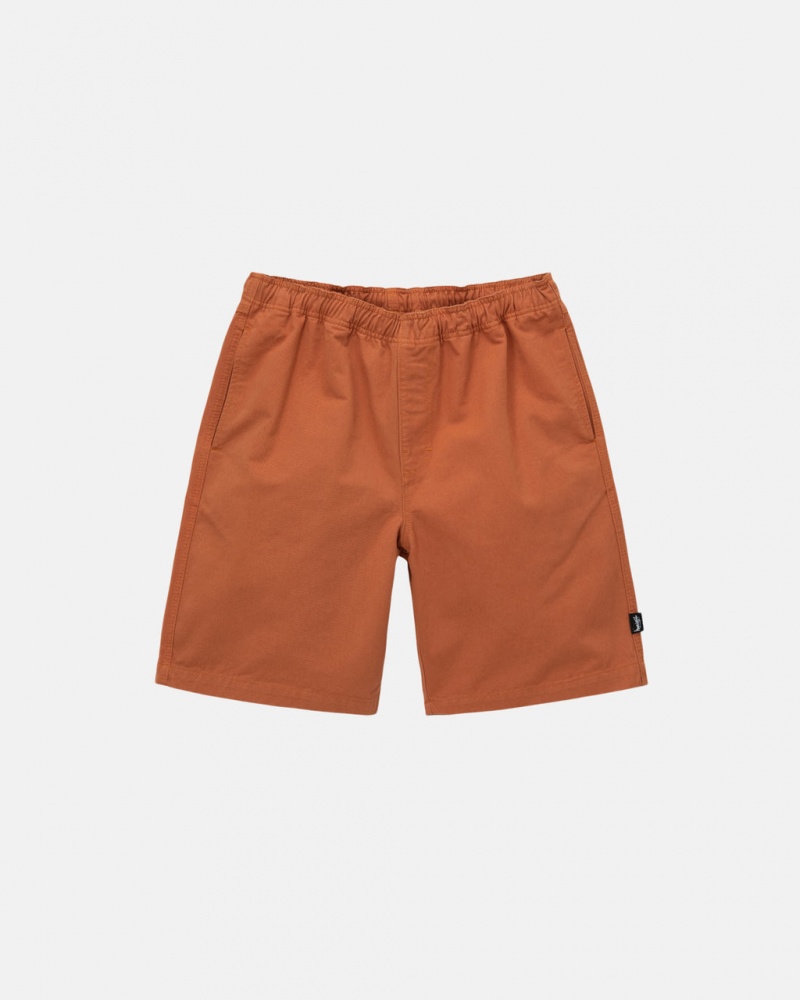 Calção Stussy Brushed Beach Curta Masculino Marrom Portugal | DZY-9467