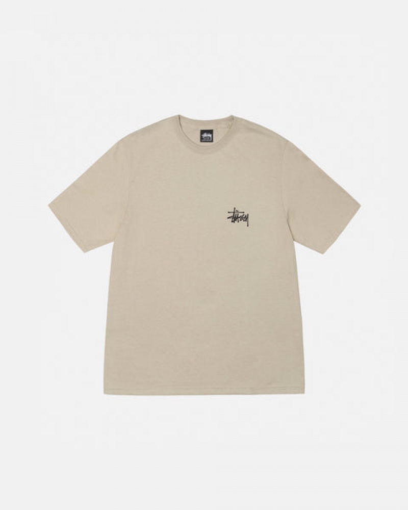 T Shirts Stussy Basic Stussy Tee Feminino Caqui Portugal | QZY-6761