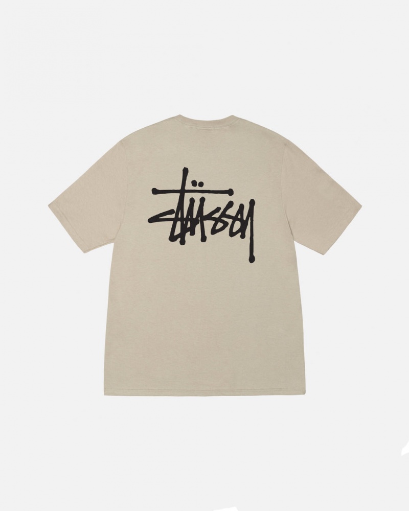 T Shirts Stussy Basic Stussy Tee Feminino Caqui Portugal | QZY-6761